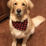 I would buy this product again and again!