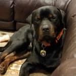 Can't live without this product!