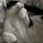 I would give this 10 stars if I could!!!