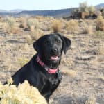 I believe so, but it is to early to tell.