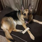 Easy to order prescriptions