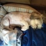 Will be shopping here!