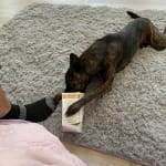Stop itchiness
