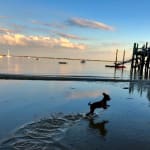 excellent service and product