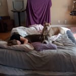 Make my pet Happy 😊😊 and relaxed