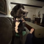 Best Customer Service