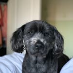 This probiotic is amazing!