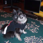 Helpful for low thyroid disease.