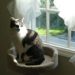 I would buy this item again - lasts for years.