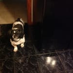 Yes! I would recommend this product