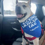 Great support medication, great pricing