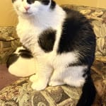 Hopeful this will help Marston - will see w/next BMP/CMP