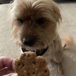 Reasonable price !   Fast delivery !