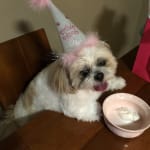 This medication helps to relief my baby's eyes