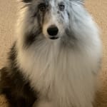 This medication has helped him be more active
