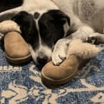 Novox helps my elderly log