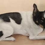 Have used this product for several years with good results.