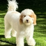 Best probiotic ever!