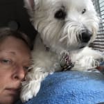 This medication keeps my dog alive.