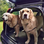 Works great…smells great.