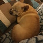 I will be buying again.