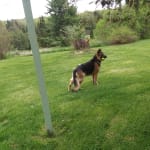 He doing very well on the medication