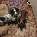 Once a month does it!