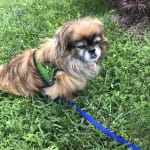 I will continue using this product.