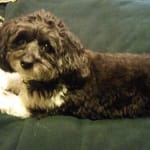 MA-LA-KET GREAT FOR EARS !!