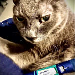 Great product which literally saves Sebastian's life