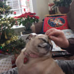 It has helped and is easy to apply.