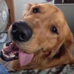 I am a very satisfied customer!