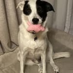 Efficient and Simple