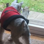 This medication helps every day be better!