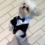 Great product great service