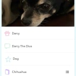 This medicine helps our dog.