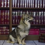 Great product, great service