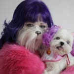 This medication helped my dog's eyes