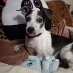 Helps my girl out ALOT !!!!!