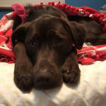 I will definitely buy again.