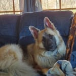 We love our fishy pills!