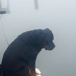 Poops are Prize Worthy!