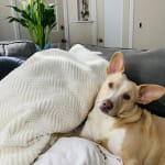 Visbiome Gave Eloise a Better Quality of Life.