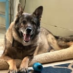 This medication has really helped.