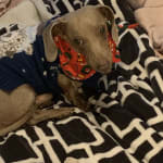 Has really improved his quality of life