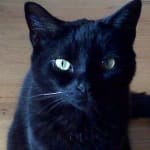 Thank you for making it so easy and affordable