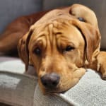 Relieved to have found lifesaving meds