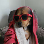 Hello I'm your friend Tucker