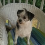 Very happy with the results from this medication.