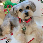 They had dosage my vet prescribed.